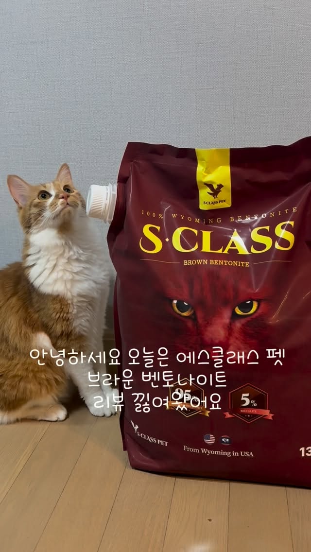 @bbib.ball이 올린 에스클래스펫 태그 게시물