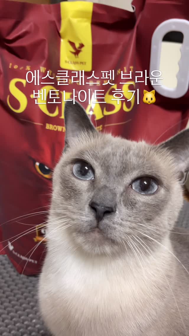 @my__haku이 올린 에스클래스펫 태그 게시물