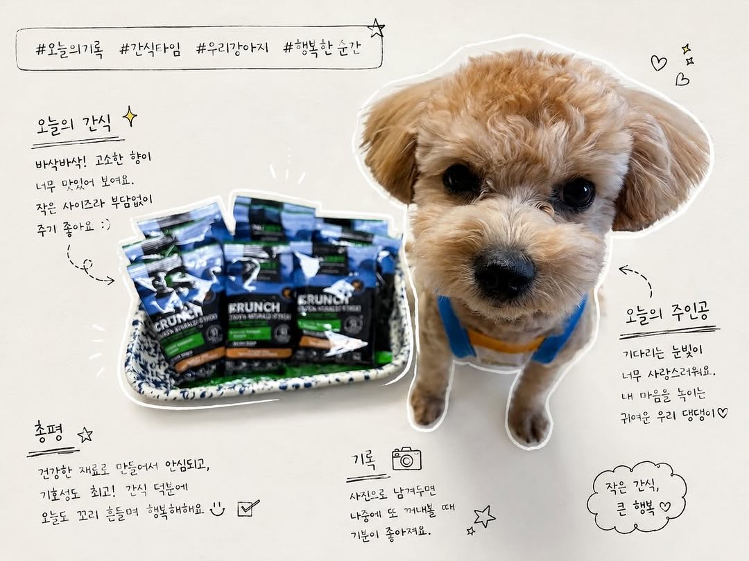 @duckbae_1092이 올린 히동이와야옹이네 | 강아지사료 · 애견사료 · 강아지간식 태그 게시물