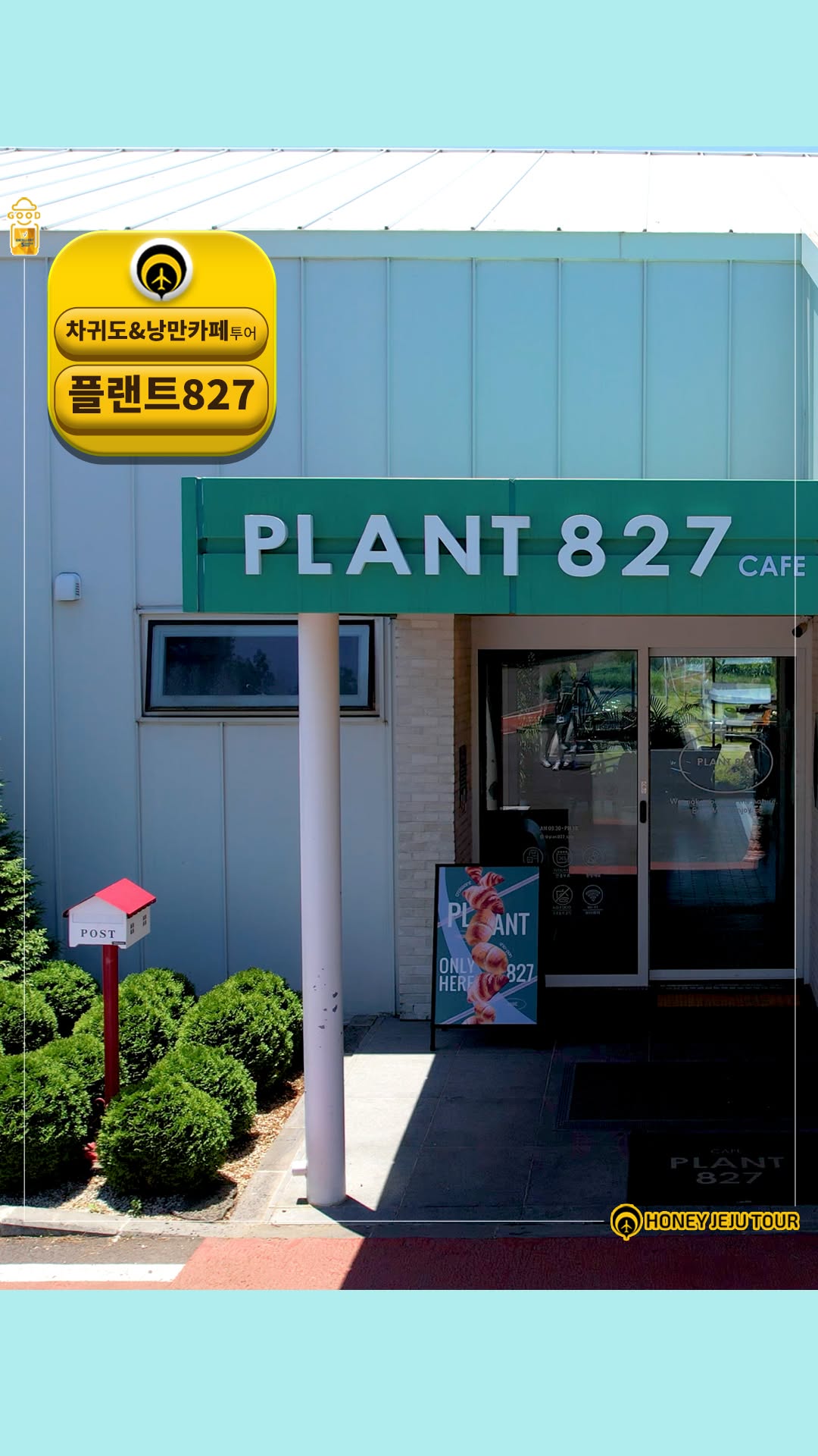 @honeyjejutour이 올린 플랜트827 태그 게시물