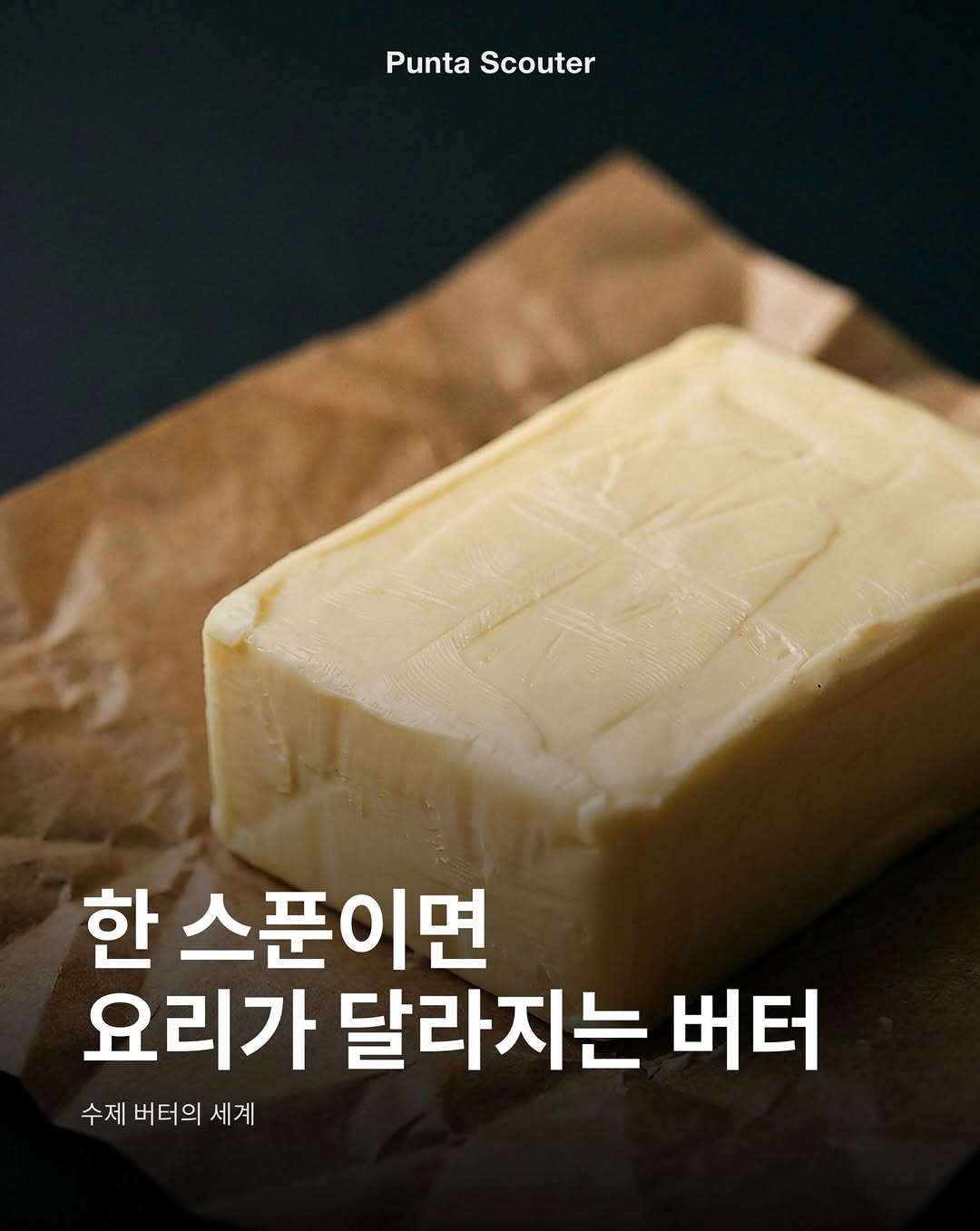 @punta.scouter이 올린 왓어버터 태그 게시물