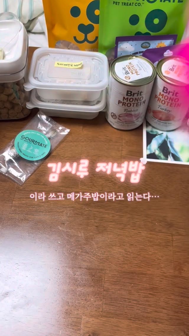 @siroo_gim이 올린 탑펫코리아 태그 게시물