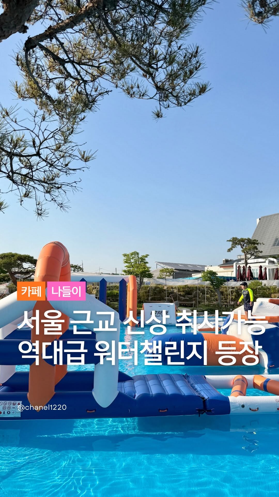 @chanel1220이 올린 뮌스터담 태그 게시물