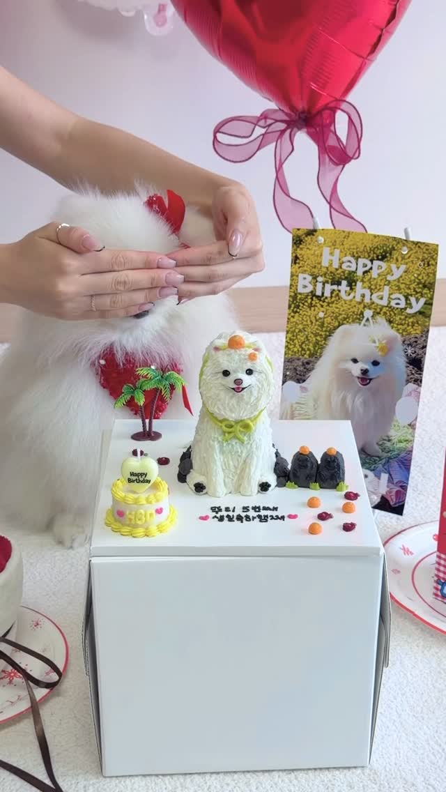 @dduri_day이 올린 꼬리의유혹 태그 게시물