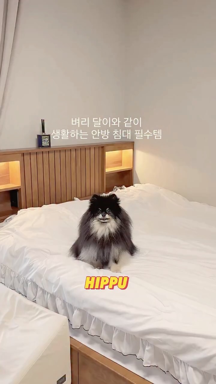 @byeori__moon이 올린 허프퍼프 태그 게시물