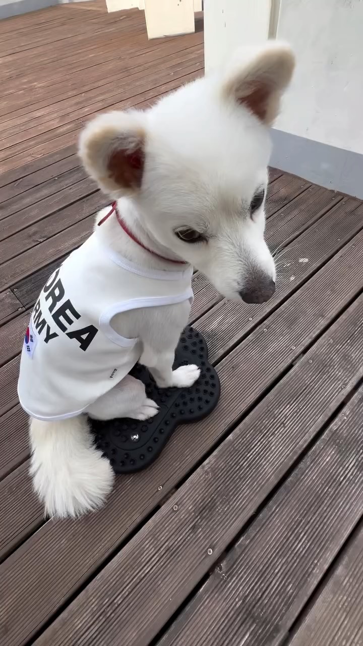 @unique_liian이 올린 굿프렌드 태그 게시물