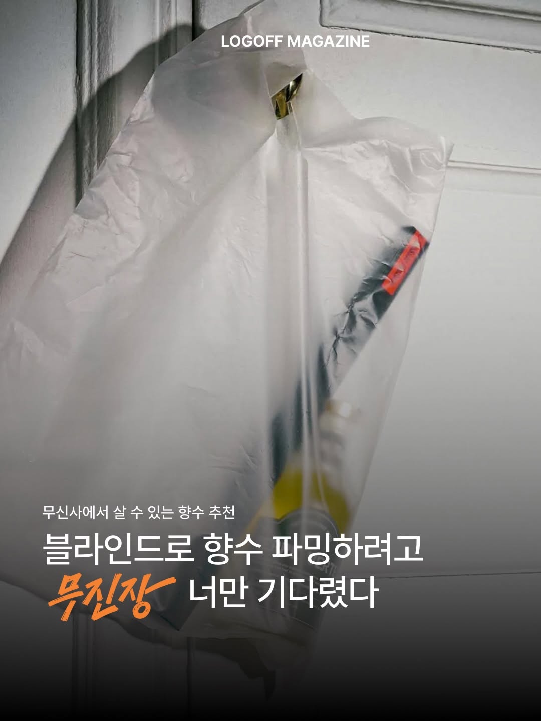 @logoff.mag이 올린 시머스 SEAMUS 태그 게시물