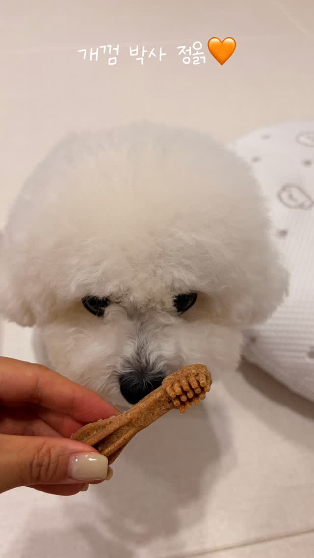 @otto__macho이 올린 뉴트리오 태그 게시물