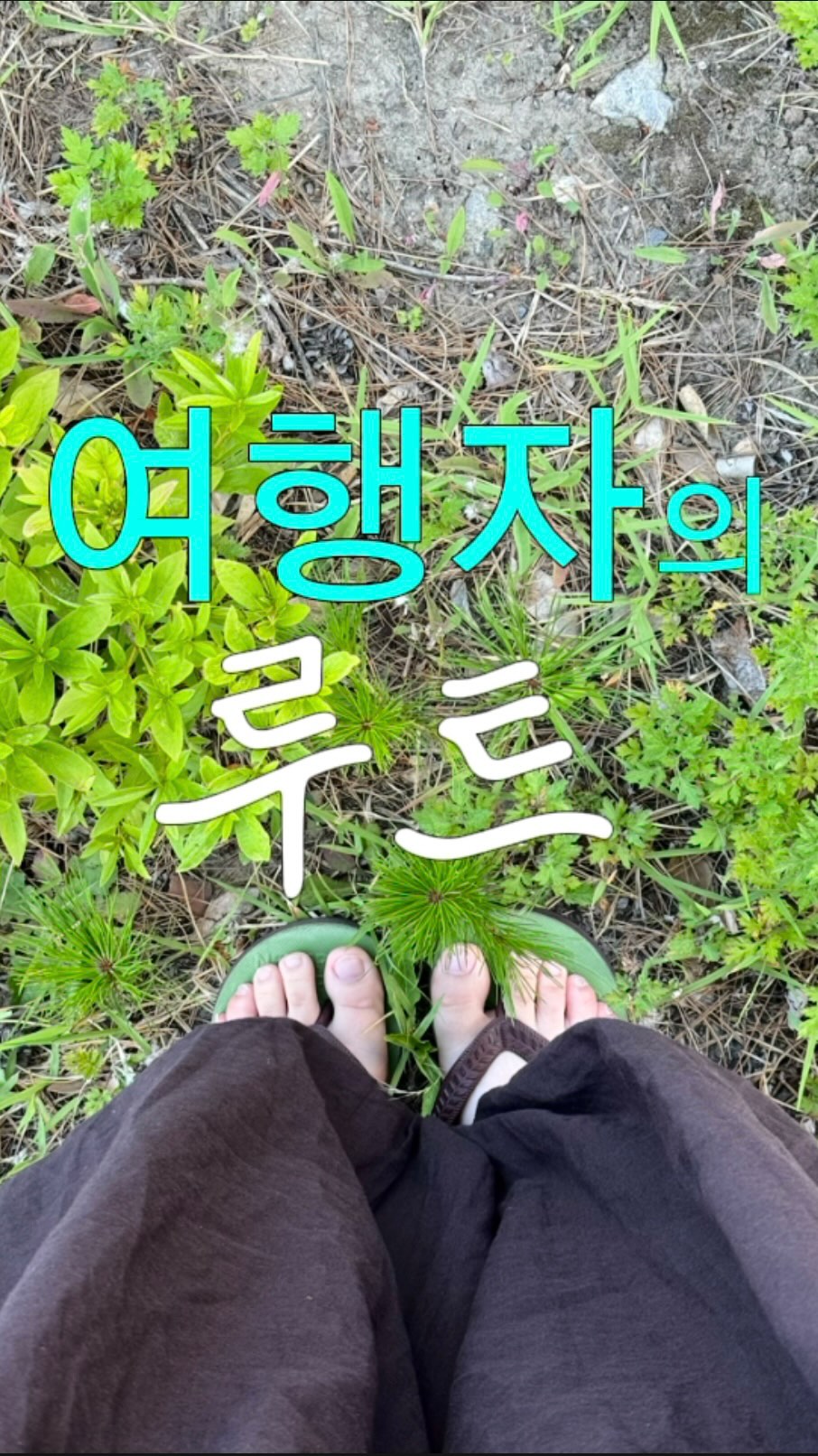 @margorilla이 올린 오루트 | Oroot 태그 게시물