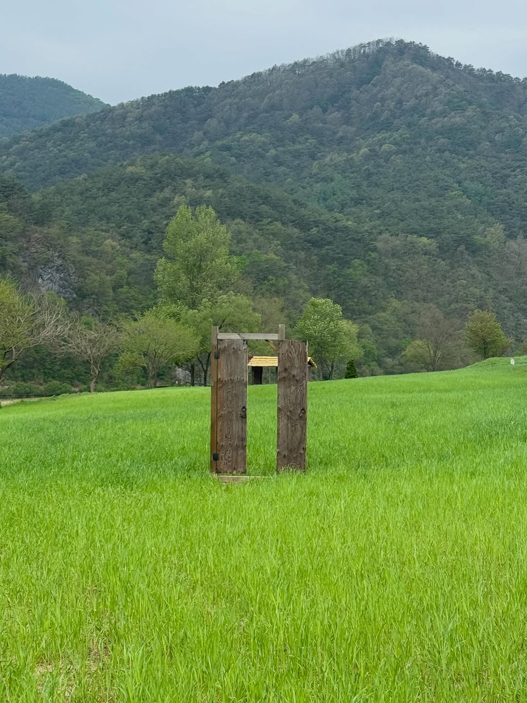 @ijannyp이 올린 영월 쪼매장 태그 게시물