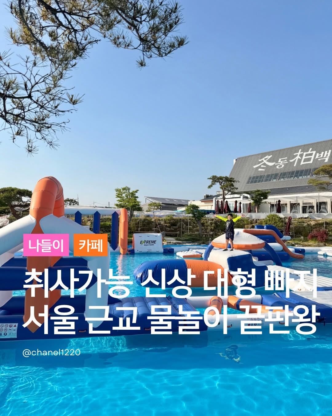 @chanel1220이 올린 동백온실 태그 게시물