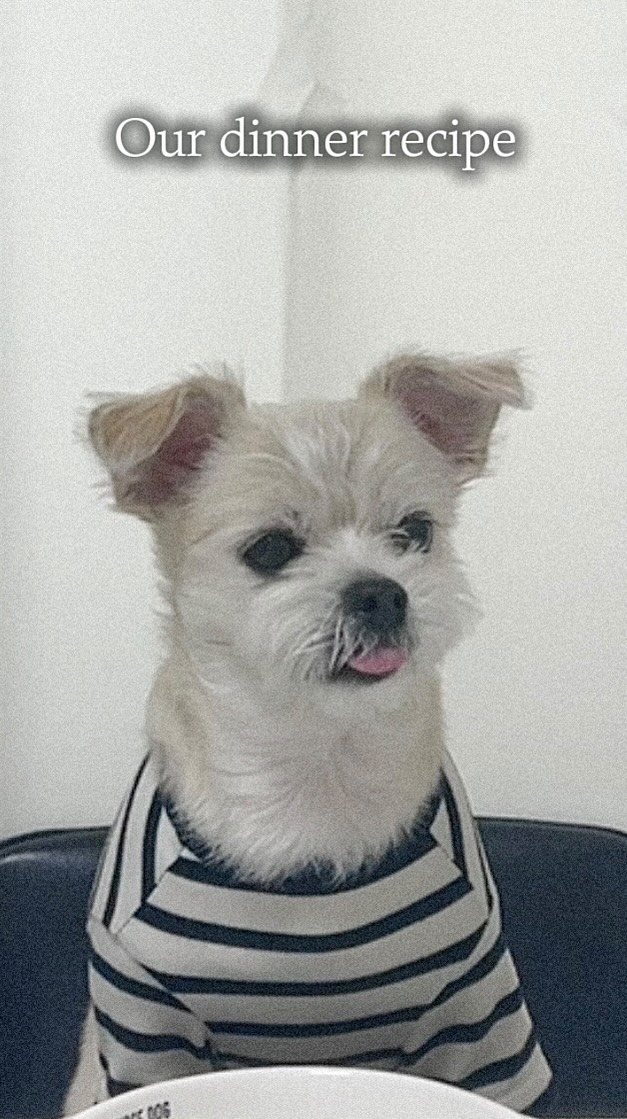 @muktae.ooo이 올린 히동이와야옹이네 | 강아지사료 · 애견사료 · 강아지간식 태그 게시물