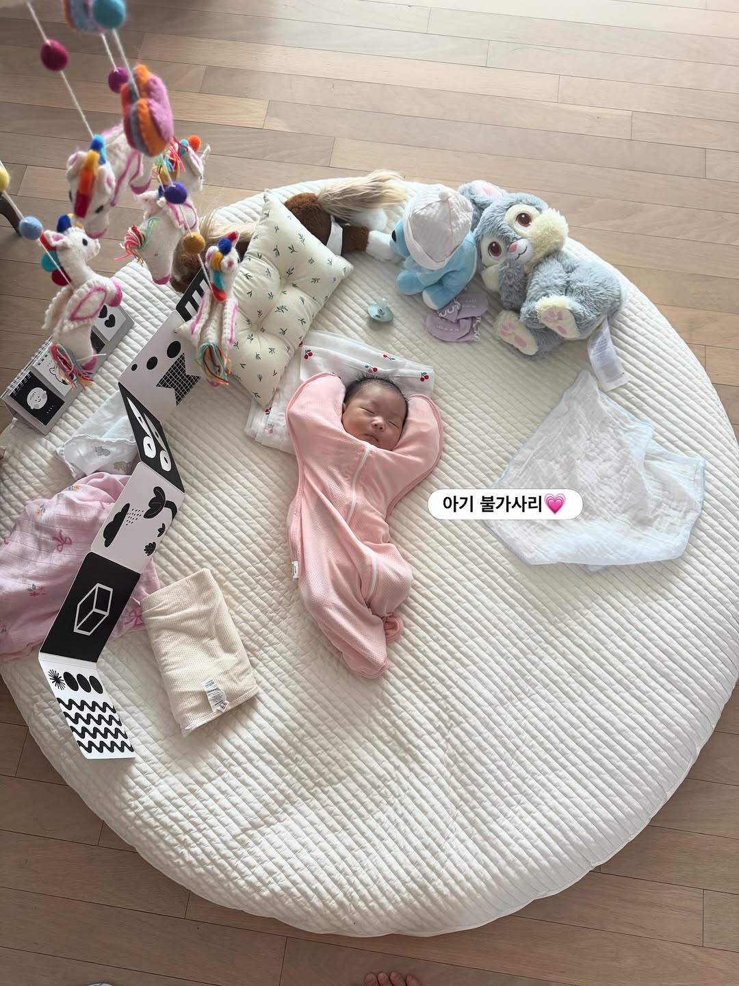 @sangsang_roha이 올린 포근나라 태그 게시물