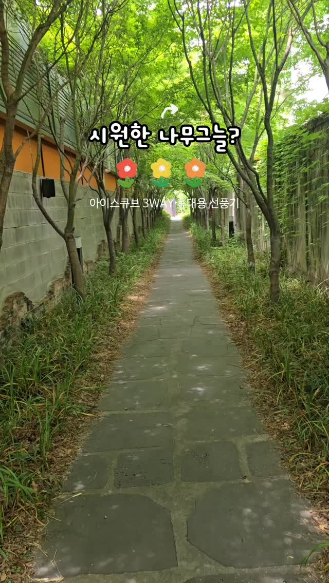 @supermom8202이 올린 DANSOON 단순생활 태그 게시물