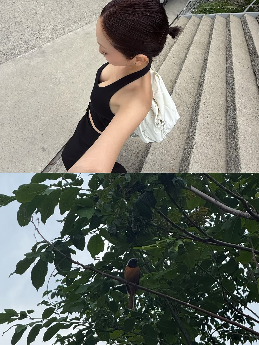 @parkwoonyi이 올린 에브레 태그 게시물