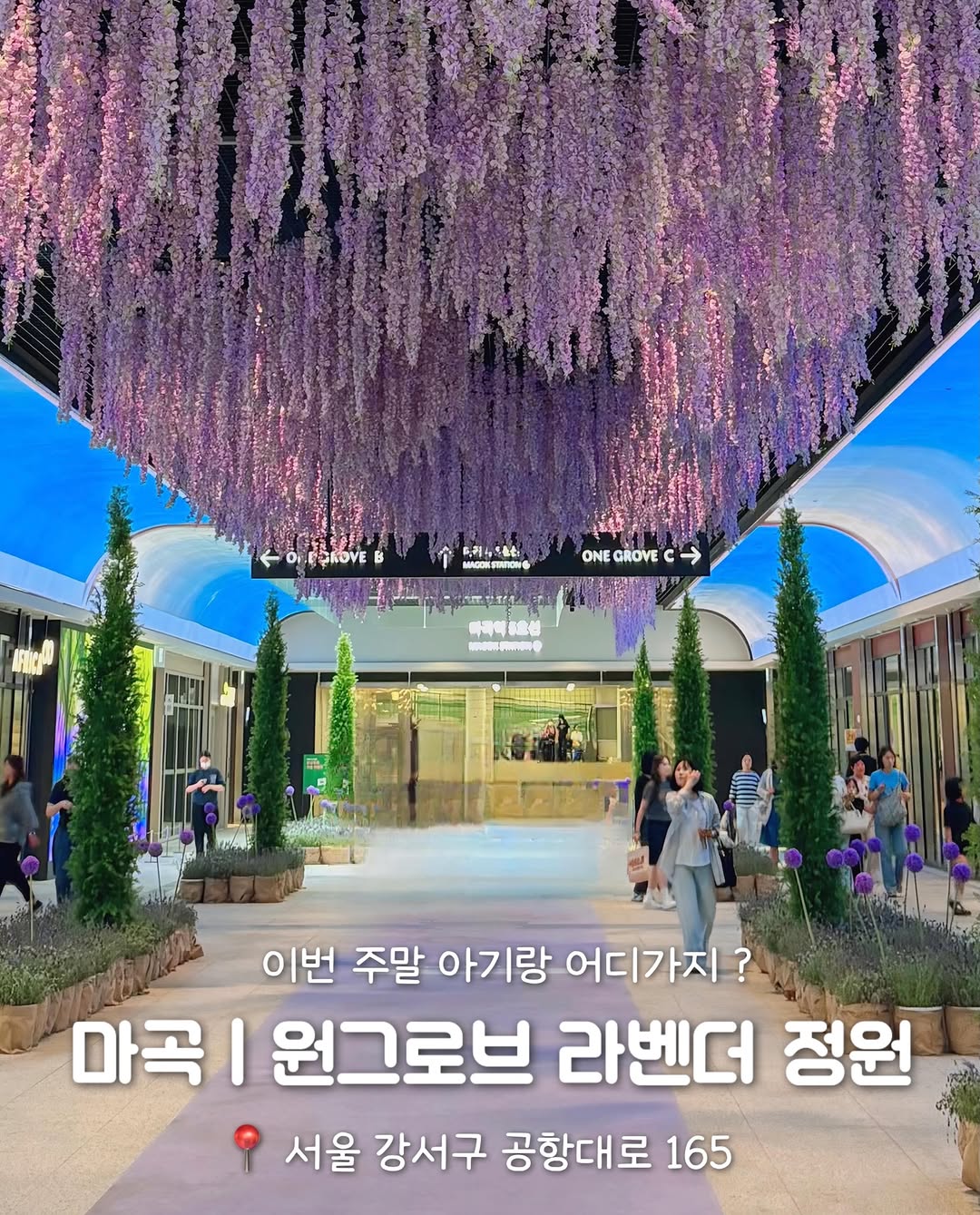 @gtrfyht24이 올린 원그로브 태그 게시물