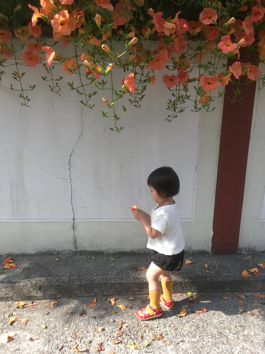 @berr.rryi이 올린 sunflake 태그 게시물