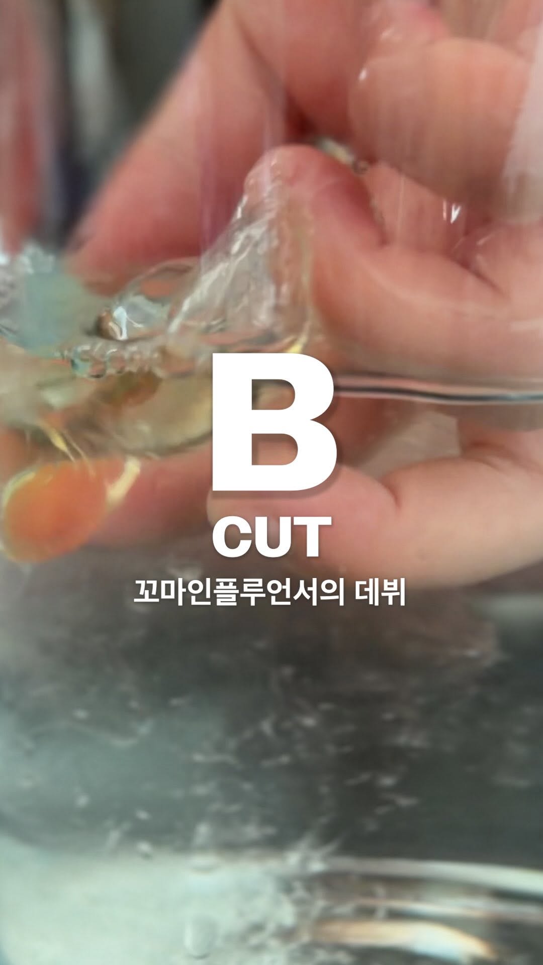 @vikijeong이 올린 플레인팟 민감라이프케어 태그 게시물
