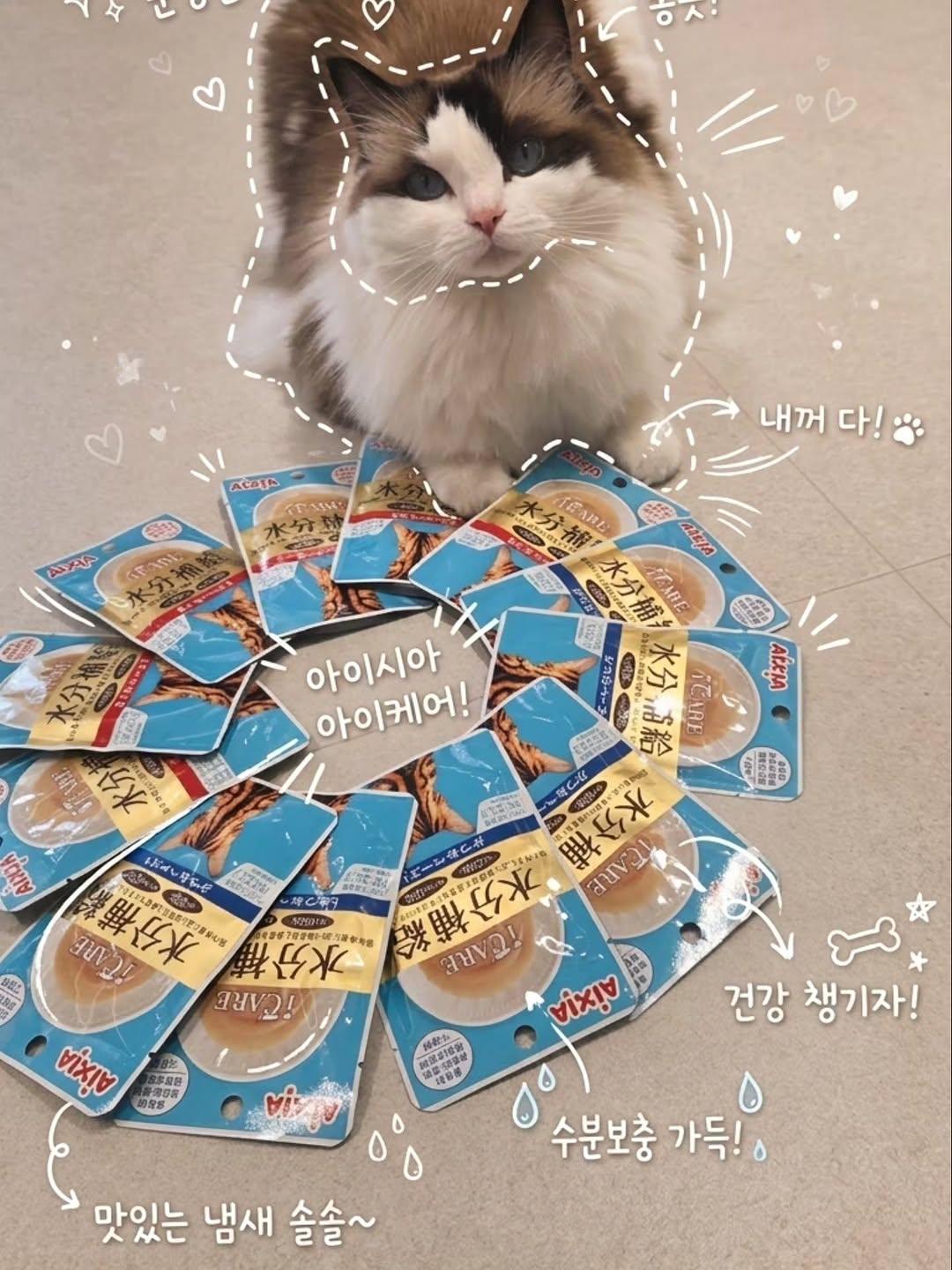 @ggom_scab이 올린 아이시아 코리아 태그 게시물