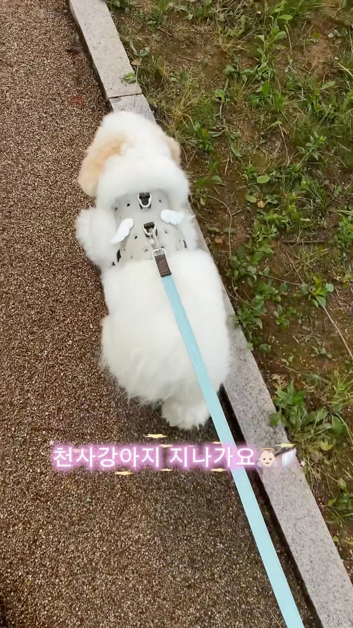 플룹 | Ploop™ 광고 소재