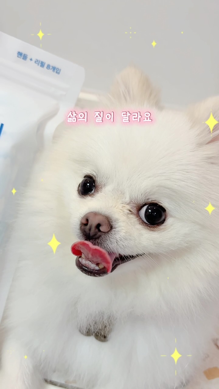 @hoddns_이 올린 AEREA 에리아 태그 게시물