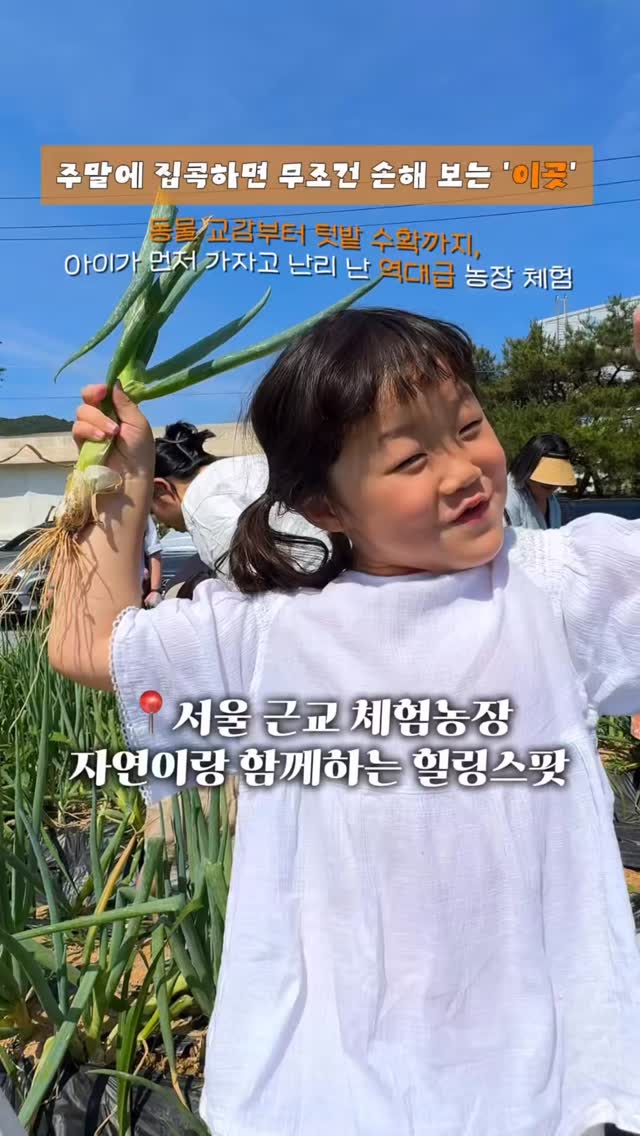 @omzy.roda이 올린 포레스트벨 태그 게시물