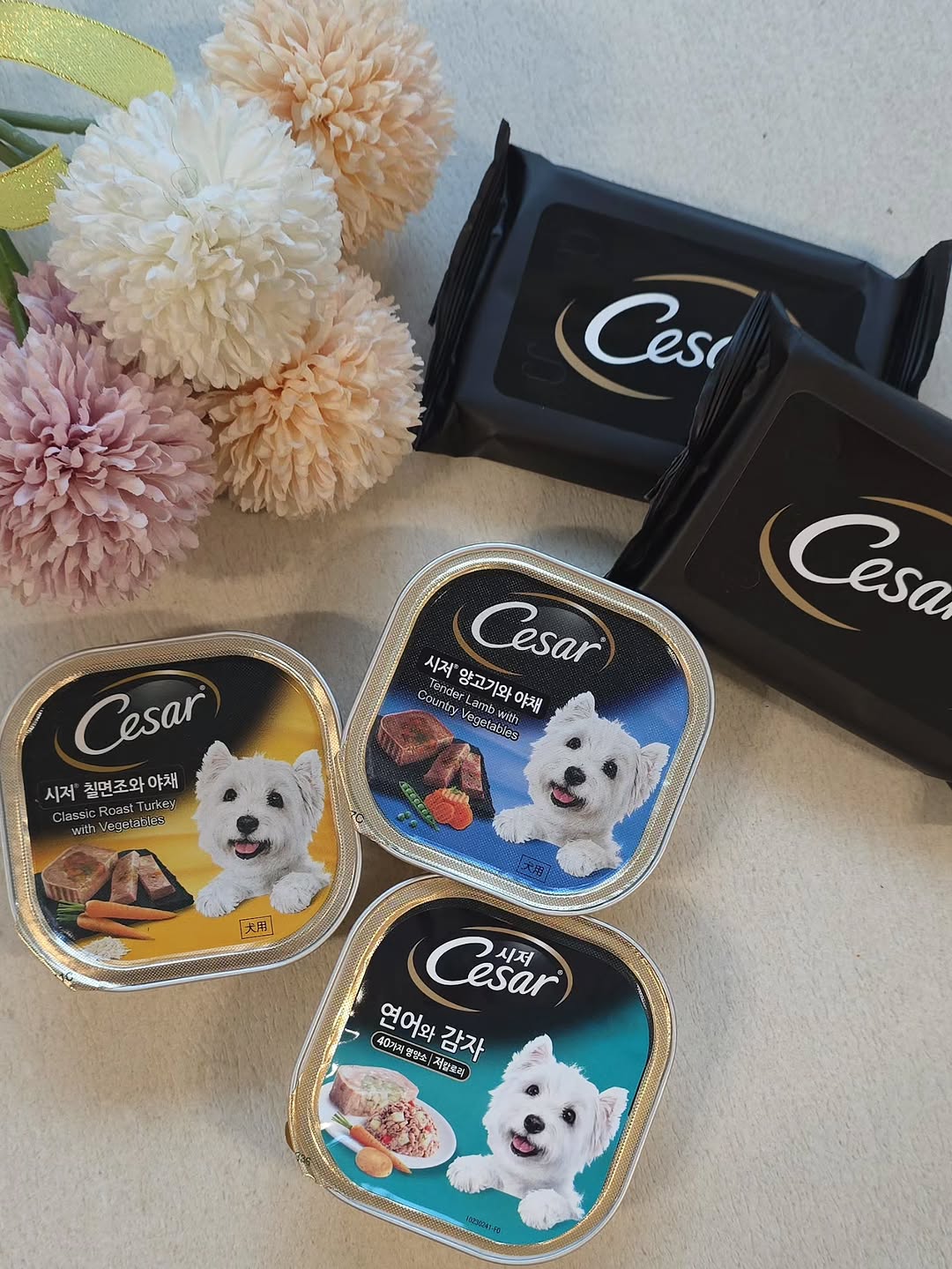 @carni_love10.3이 올린 시저® 태그 게시물