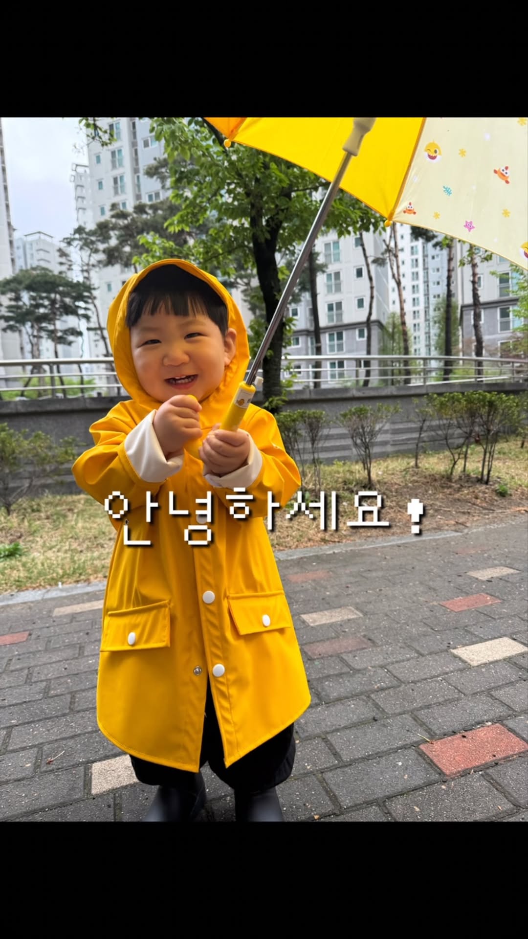 @b_jihosuho이 올린 베이-비 키즈 태그 게시물