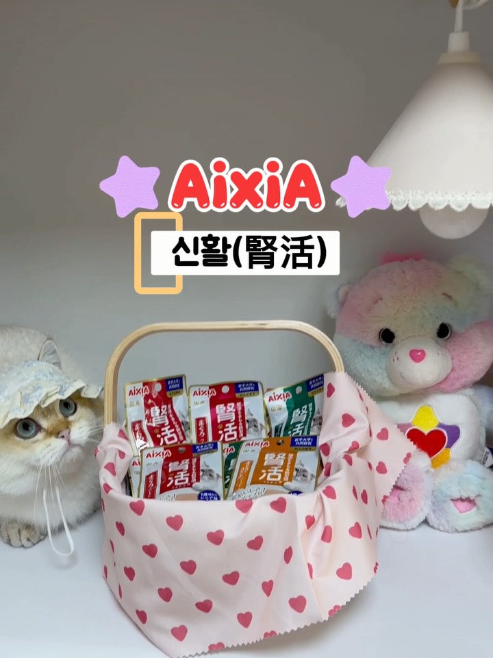 @galbabfamily_이 올린 아이시아 코리아 태그 게시물