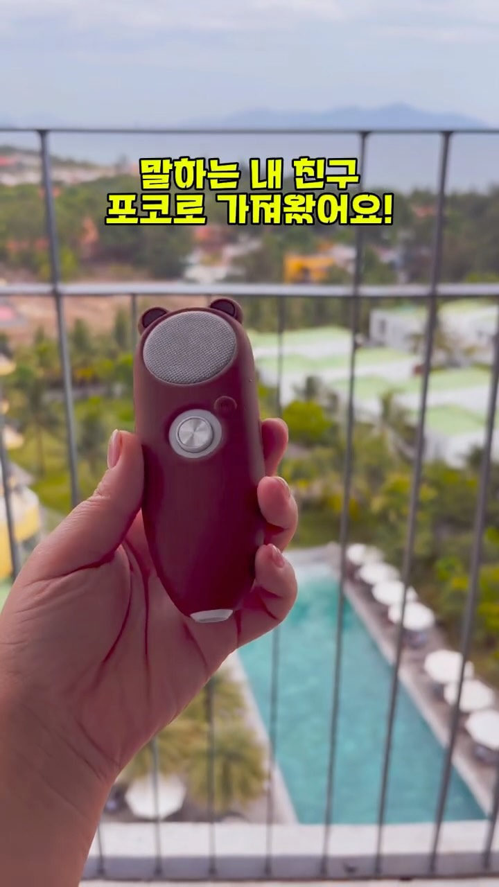 @deubora.kkk이 올린 포코로 태그 게시물
