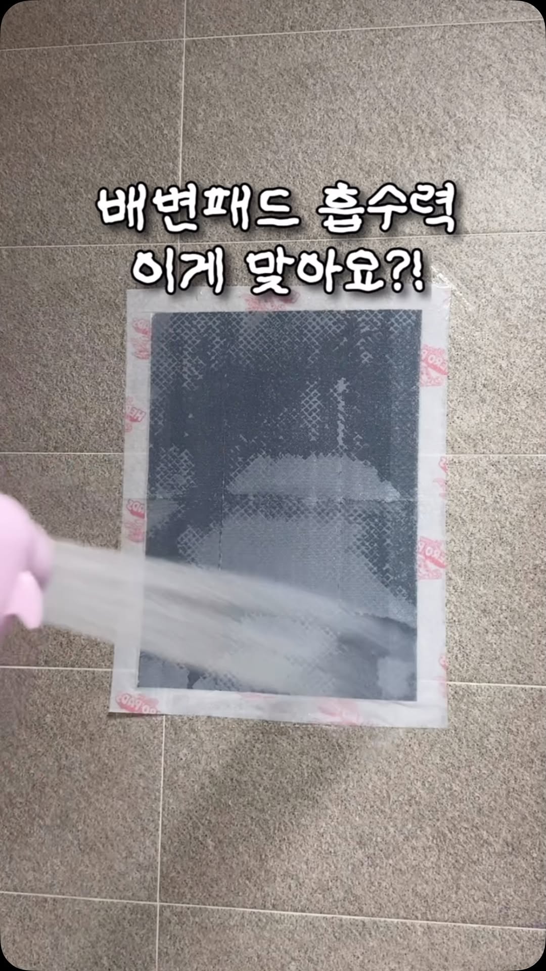 @peanut_dami이 올린 HURRAY 허레이 태그 게시물