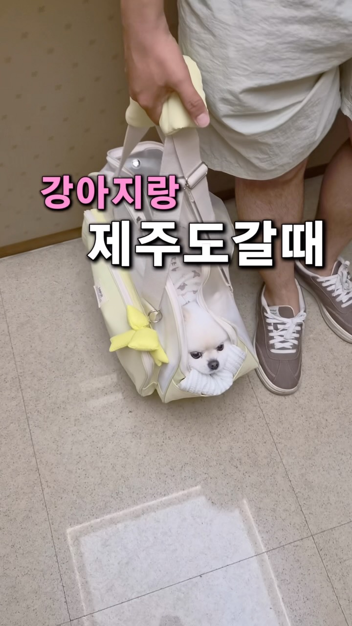 @soyo_ming이 올린 휘닉스 태그 게시물