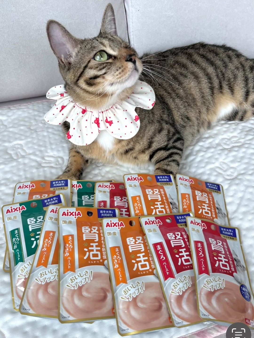 @hookring.zip이 올린 아이시아 코리아 태그 게시물