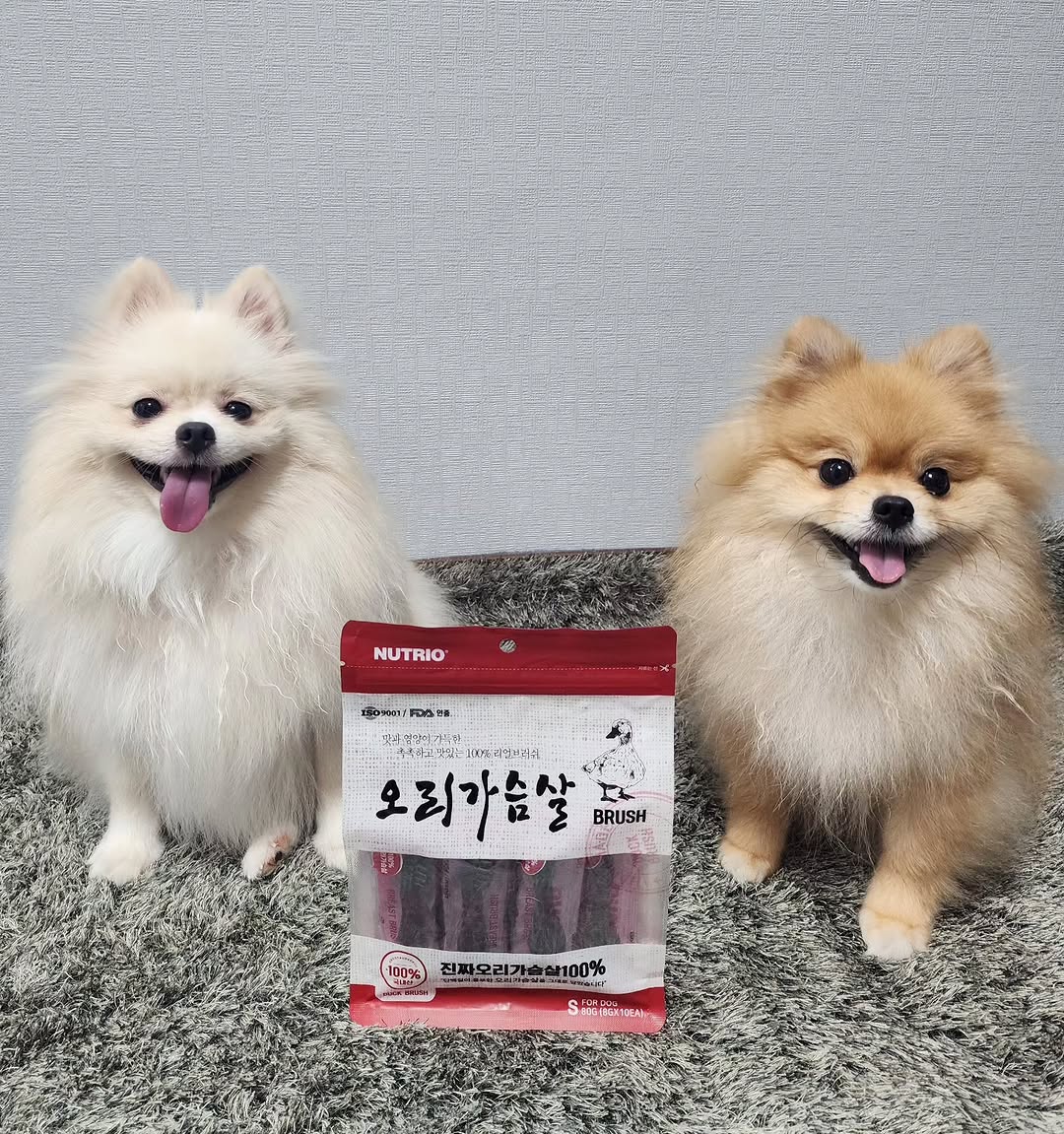 @coco_songi.zip이 올린 뉴트리오 태그 게시물