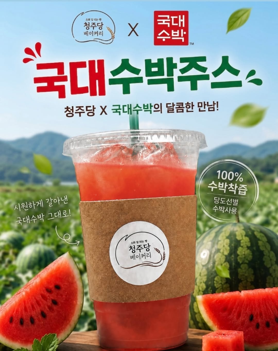 @cheongju_dang이 올린 파머심슨 수박연구소 태그 게시물