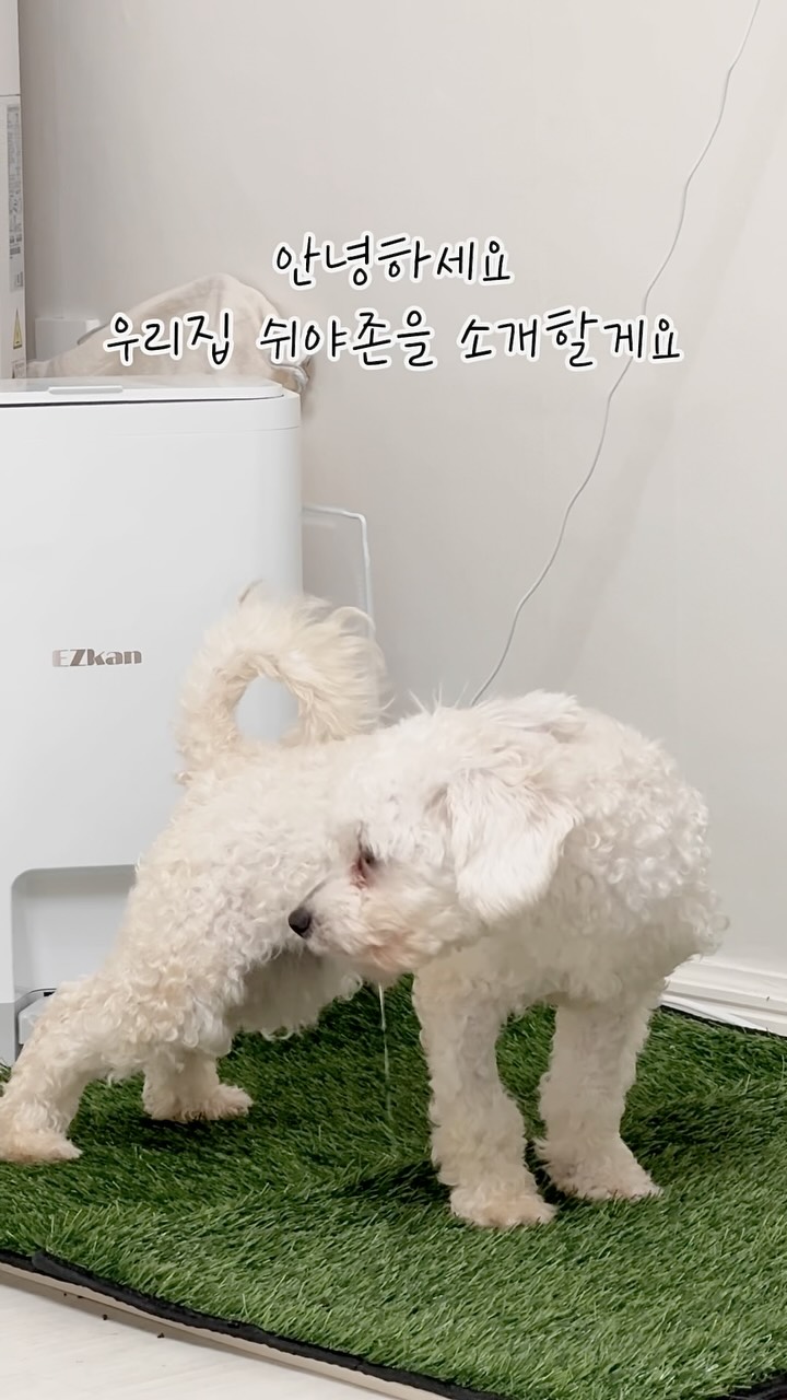@dororong._.tte이 올린 고강탈 태그 게시물
