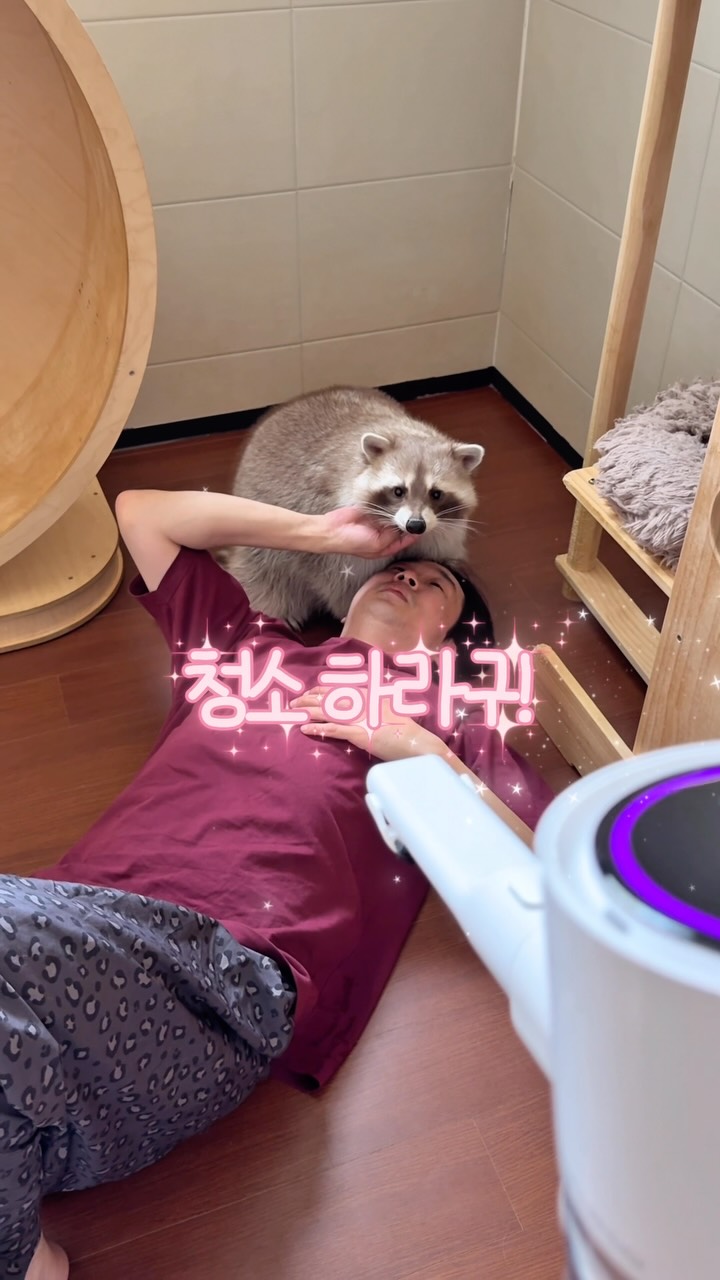 @mr___choon이 올린 디베아 Dibea 태그 게시물