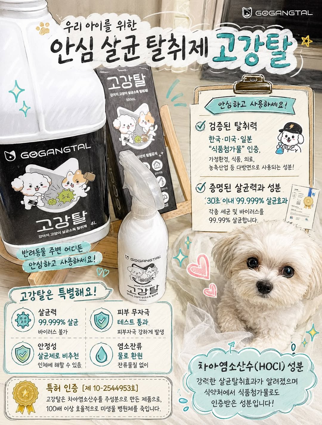 @_kolook_이 올린 고강탈 태그 게시물