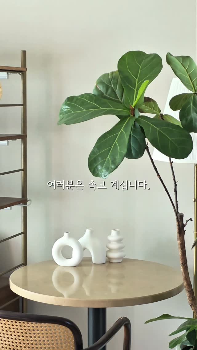 @glow_jeje이 올린 AEREA 에리아 태그 게시물