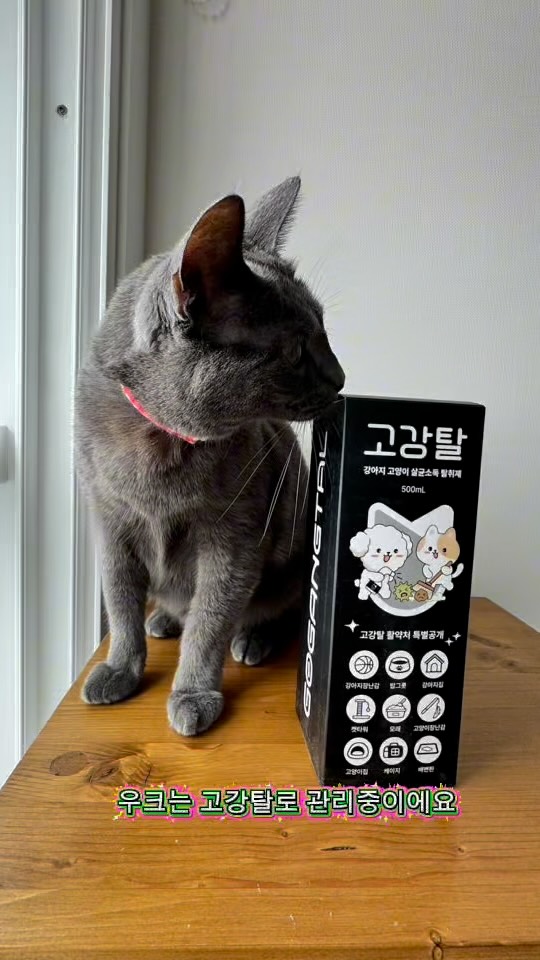 @dunggun_yh이 올린 고강탈 태그 게시물
