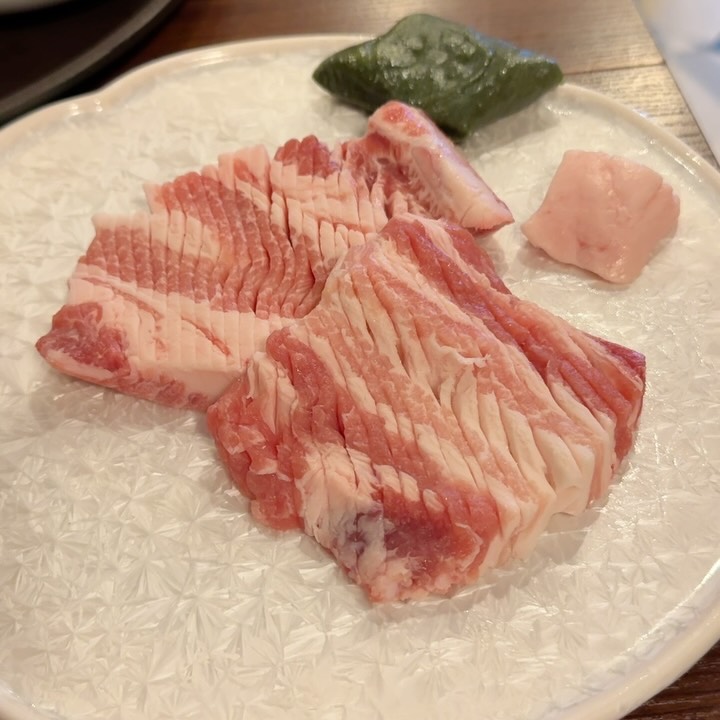 @bon_bong_bon_bong이 올린 숙취엔벌나무 태그 게시물
