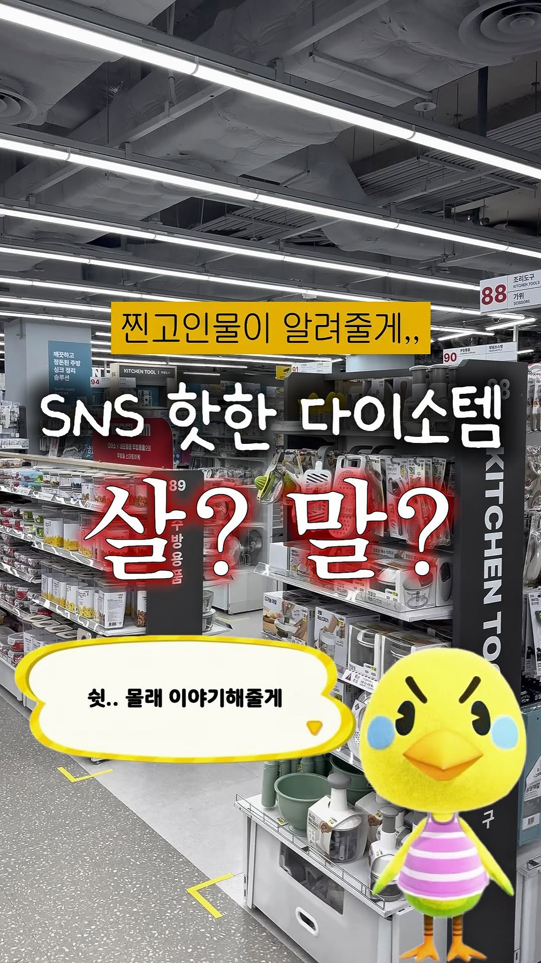 @ojirapper_이 올린 비프루브 태그 게시물