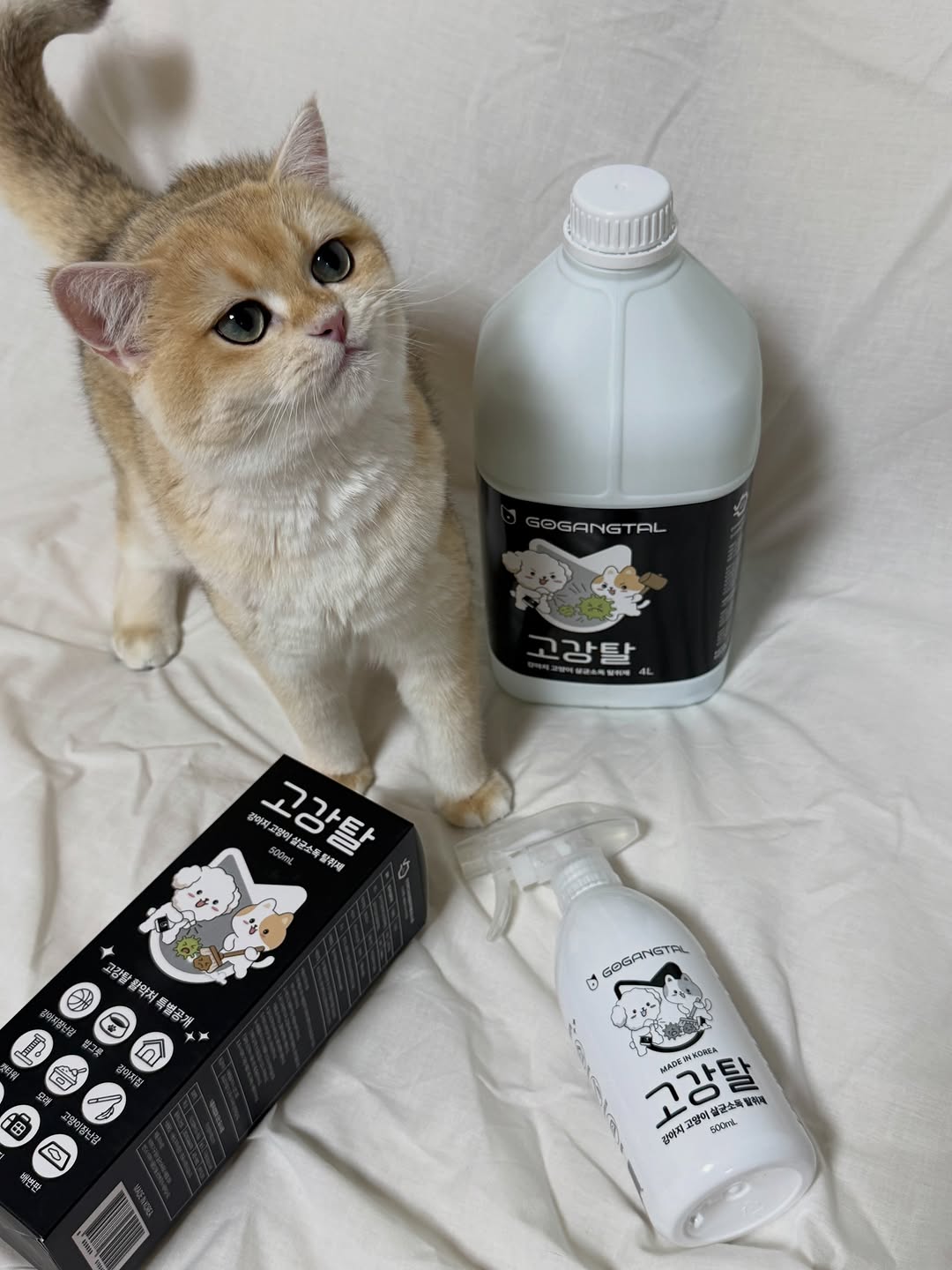 @cheoldeuk._.2이 올린 고강탈 태그 게시물