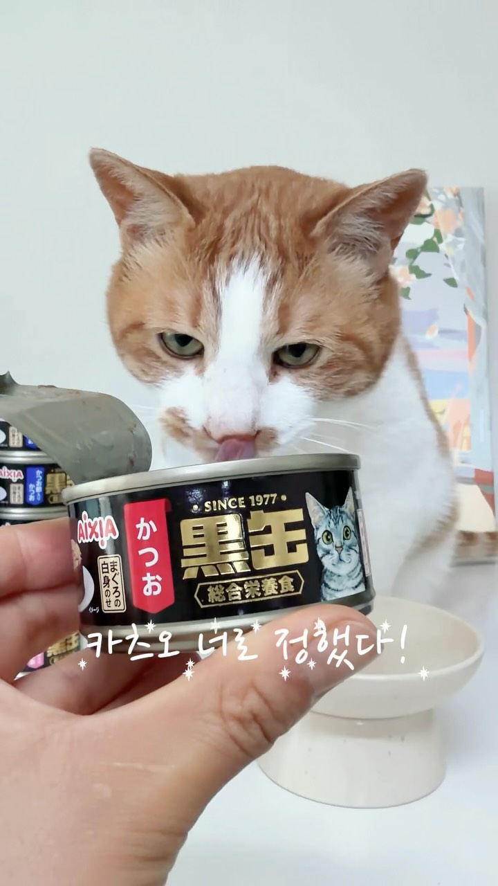 @3__neko__이 올린 아이시아 코리아 태그 게시물