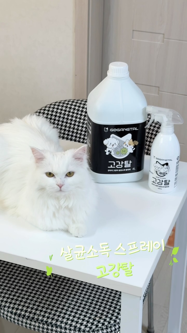 @nini.__.meow이 올린 고강탈 태그 게시물