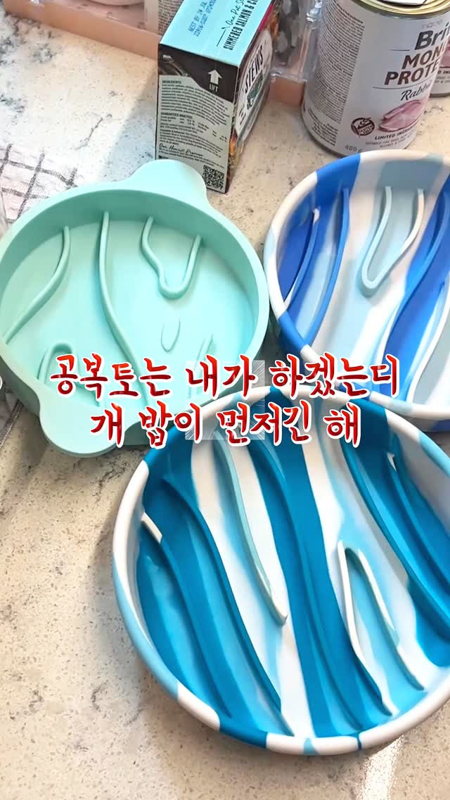 @jerry_loongz이 올린 탑펫코리아 태그 게시물