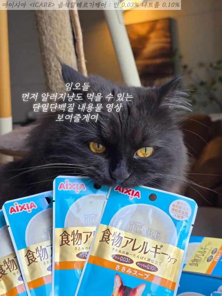 @billy_the_blackcat이 올린 아이시아 코리아 태그 게시물