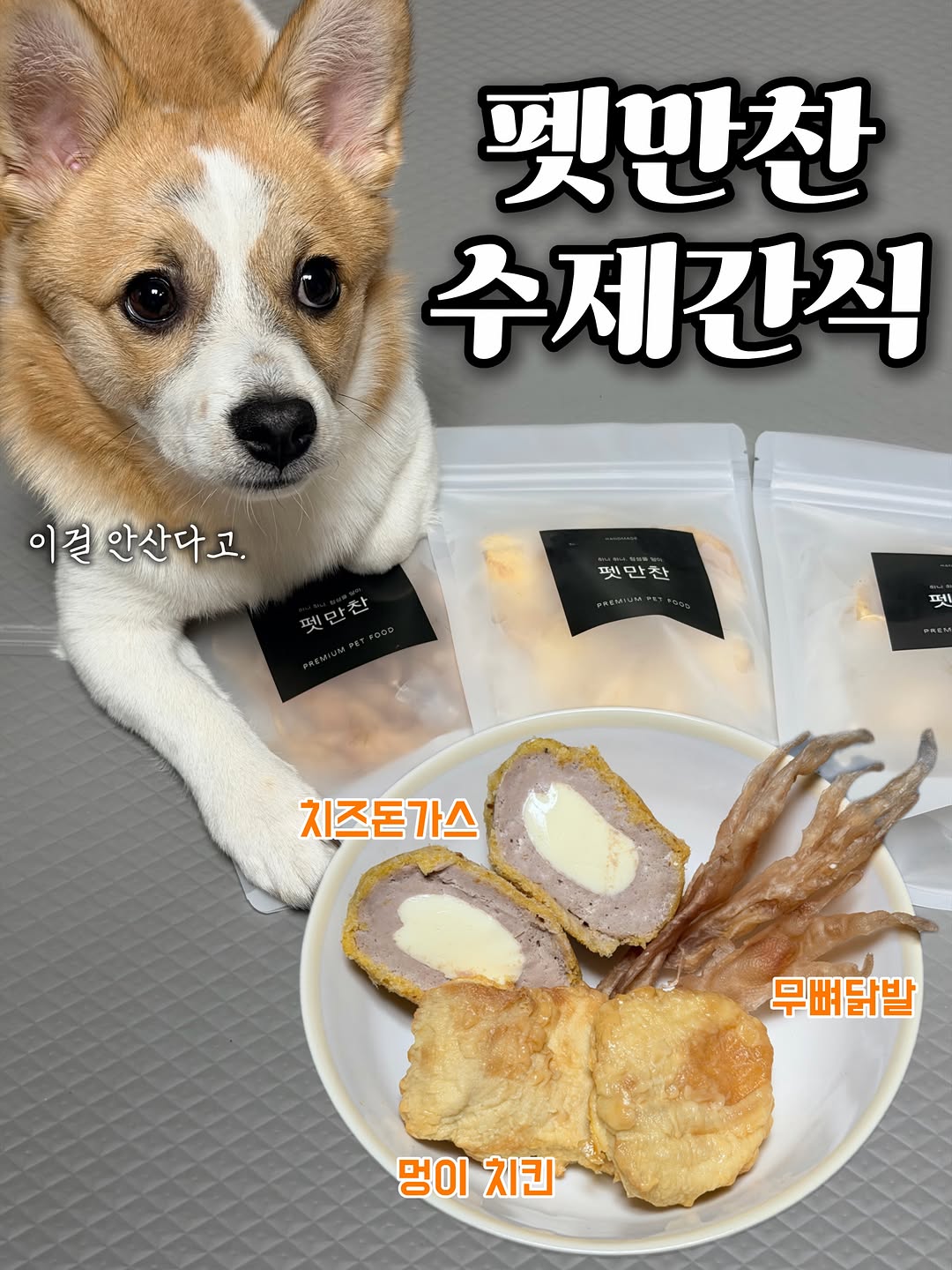 @gongjumansae이 올린 펫만찬 태그 게시물