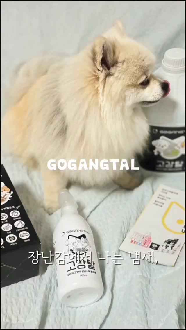 @yangdong2_house이 올린 고강탈 태그 게시물