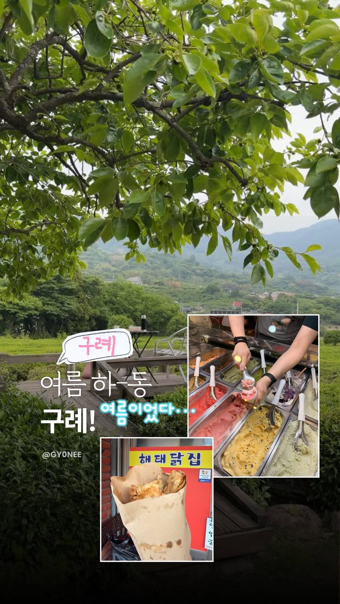 @gy0nee이 올린 쌍계명차 태그 게시물